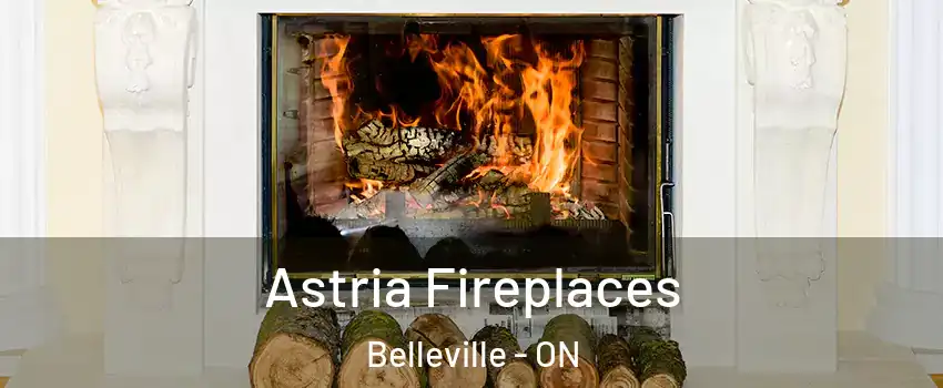  Astria Fireplaces Belleville - ON