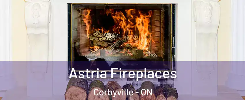  Astria Fireplaces Corbyville - ON