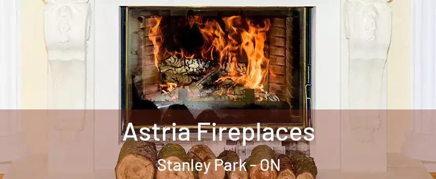  Astria Fireplaces Stanley Park - ON