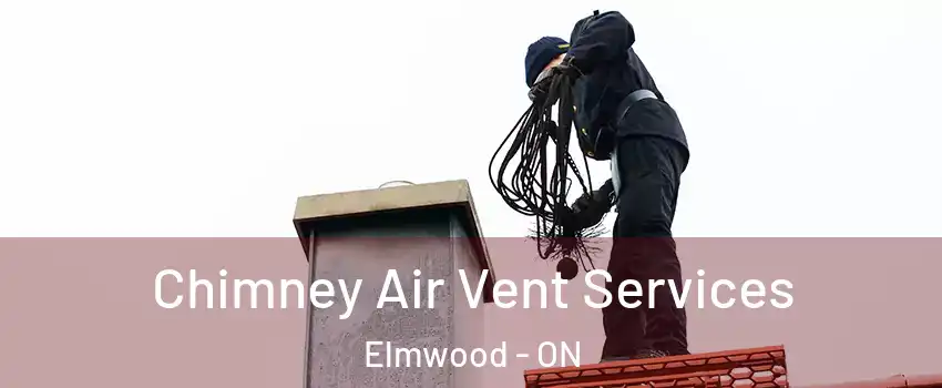  Chimney Air Vent Services Elmwood - ON