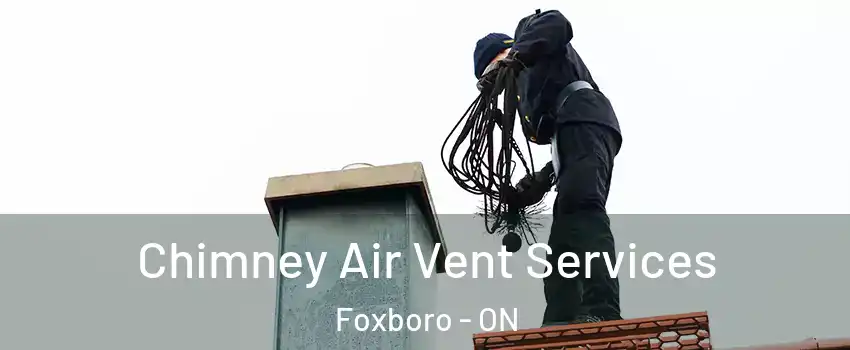  Chimney Air Vent Services Foxboro - ON