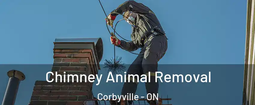 Chimney Animal Removal Corbyville - ON
