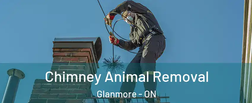  Chimney Animal Removal Glanmore - ON