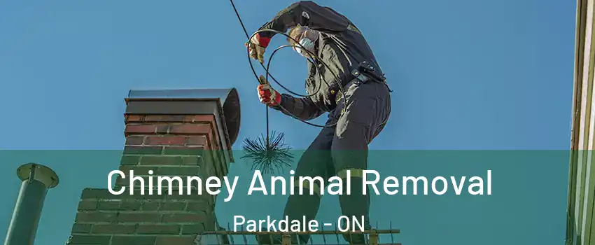 Chimney Animal Removal Parkdale - ON