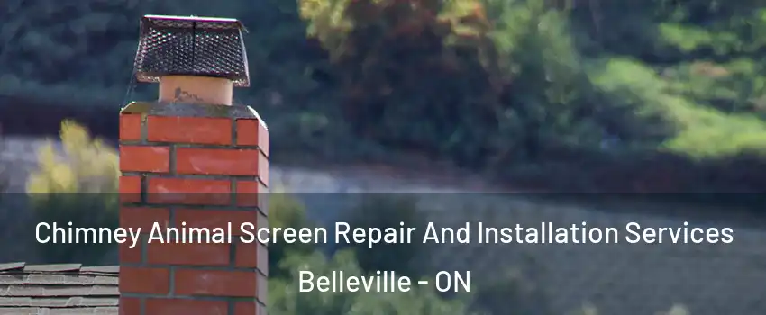  Chimney Animal Screen Repair And Installation Services Belleville - ON