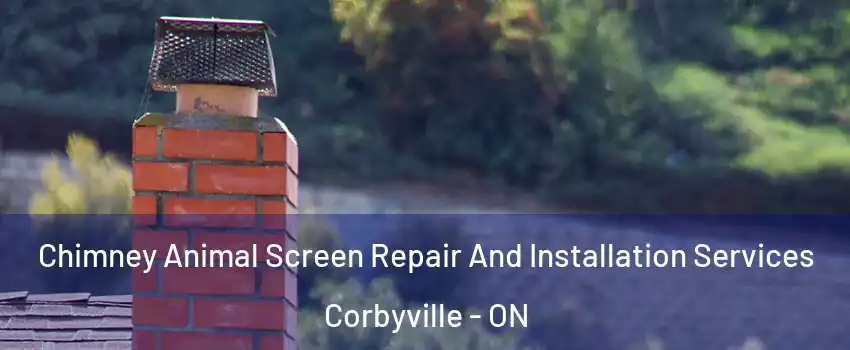  Chimney Animal Screen Repair And Installation Services Corbyville - ON