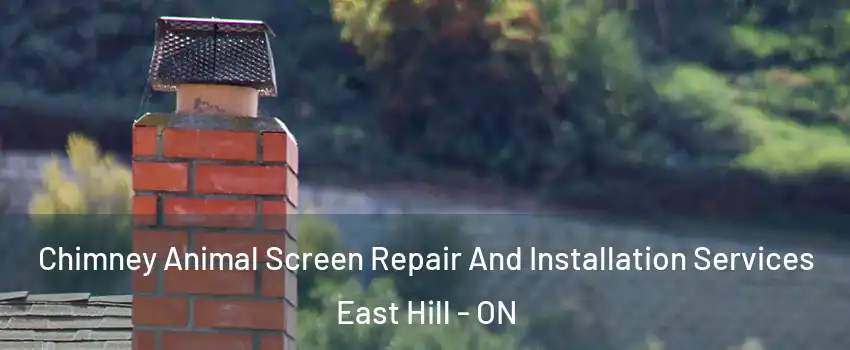 Chimney Animal Screen Repair And Installation Services East Hill - ON