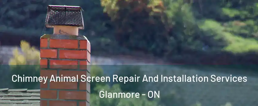  Chimney Animal Screen Repair And Installation Services Glanmore - ON