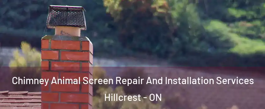  Chimney Animal Screen Repair And Installation Services Hillcrest - ON