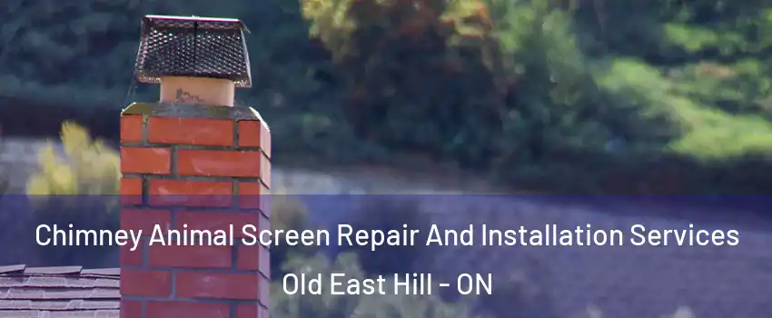  Chimney Animal Screen Repair And Installation Services Old East Hill - ON
