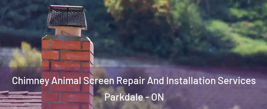  Chimney Animal Screen Repair And Installation Services Parkdale - ON
