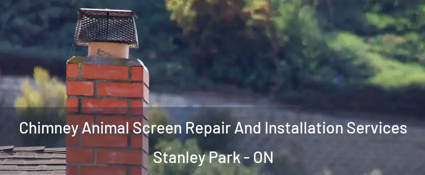  Chimney Animal Screen Repair And Installation Services Stanley Park - ON