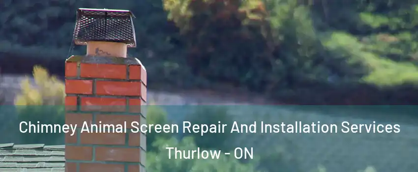  Chimney Animal Screen Repair And Installation Services Thurlow - ON