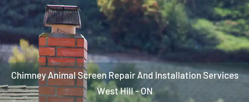  Chimney Animal Screen Repair And Installation Services West Hill - ON
