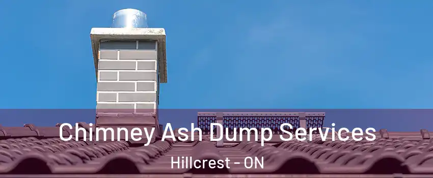  Chimney Ash Dump Services Hillcrest - ON