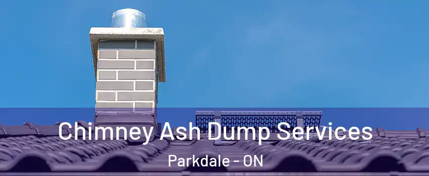  Chimney Ash Dump Services Parkdale - ON