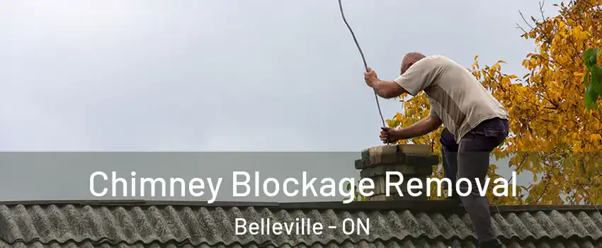 Chimney Blockage Removal Belleville - ON