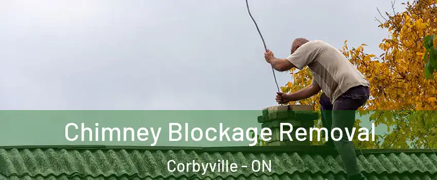  Chimney Blockage Removal Corbyville - ON