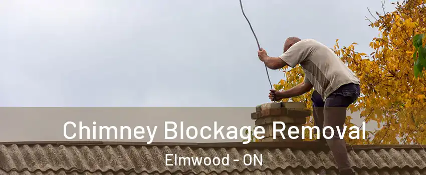  Chimney Blockage Removal Elmwood - ON