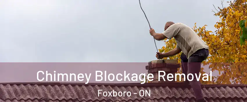  Chimney Blockage Removal Foxboro - ON