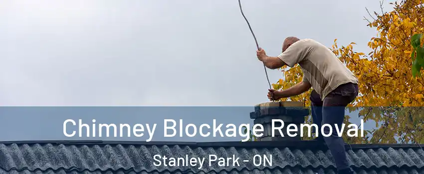  Chimney Blockage Removal Stanley Park - ON