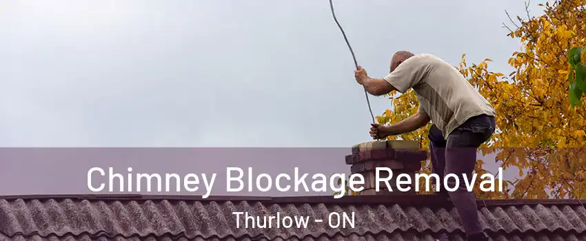  Chimney Blockage Removal Thurlow - ON