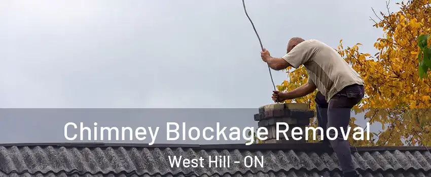  Chimney Blockage Removal West Hill - ON
