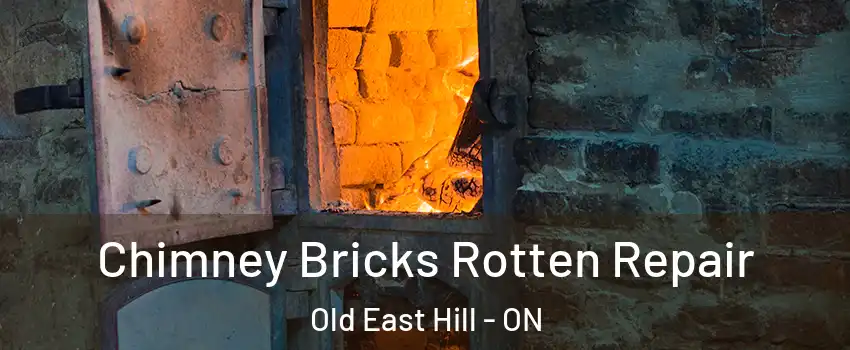  Chimney Bricks Rotten Repair Old East Hill - ON