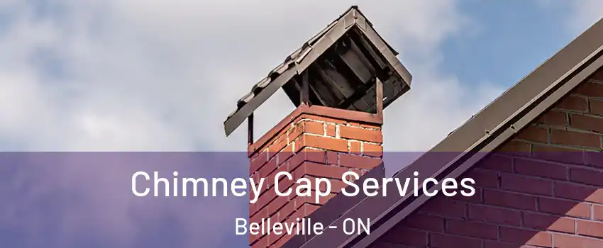 Chimney Cap Services Belleville - ON