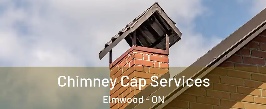  Chimney Cap Services Elmwood - ON