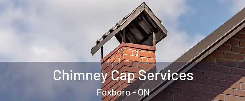  Chimney Cap Services Foxboro - ON