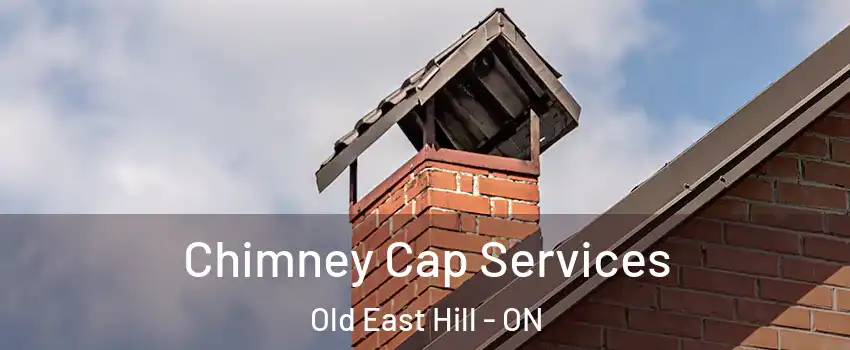  Chimney Cap Services Old East Hill - ON