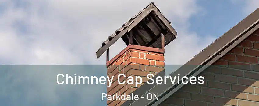  Chimney Cap Services Parkdale - ON