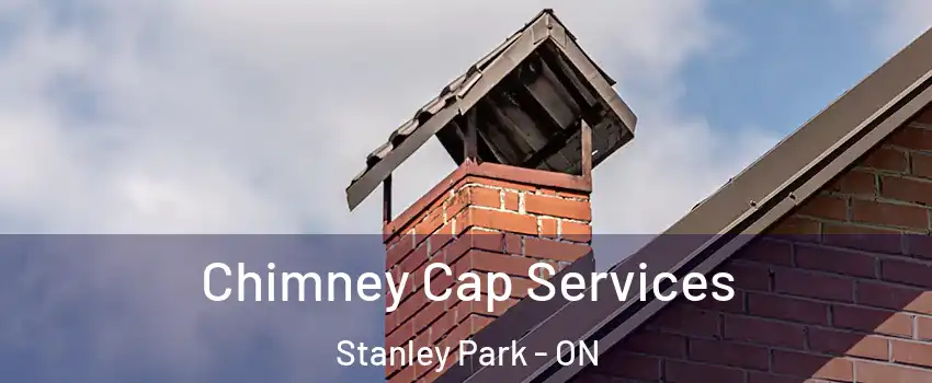  Chimney Cap Services Stanley Park - ON