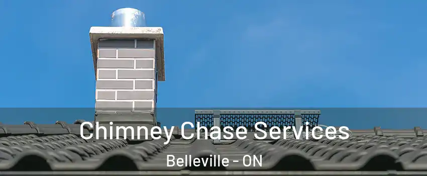 Chimney Chase Services Belleville - ON
