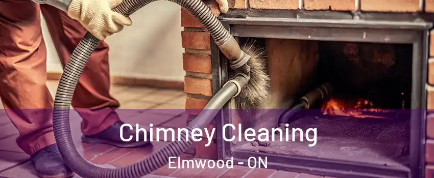 Chimney Cleaning Elmwood - ON
