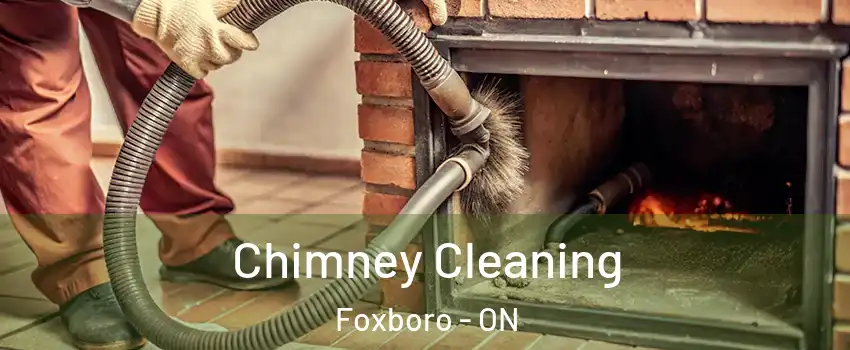 Chimney Cleaning Foxboro - ON