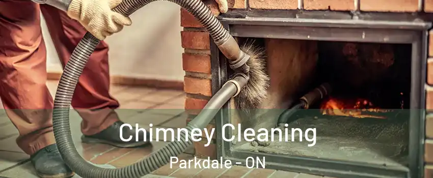  Chimney Cleaning Parkdale - ON