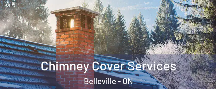  Chimney Cover Services Belleville - ON
