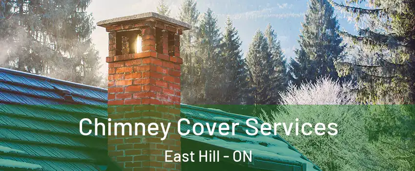  Chimney Cover Services East Hill - ON