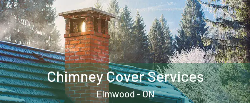  Chimney Cover Services Elmwood - ON