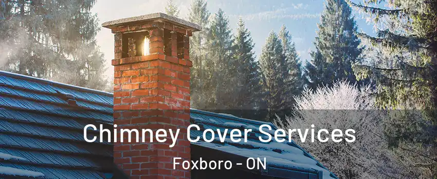  Chimney Cover Services Foxboro - ON