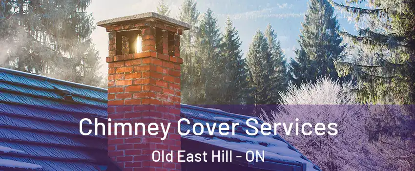  Chimney Cover Services Old East Hill - ON