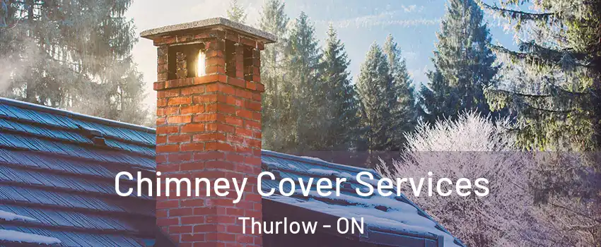  Chimney Cover Services Thurlow - ON