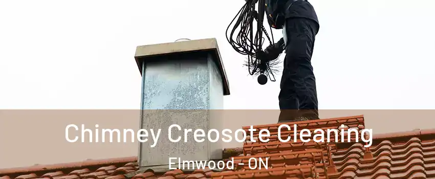  Chimney Creosote Cleaning Elmwood - ON