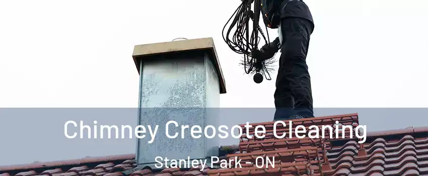 Chimney Creosote Cleaning Stanley Park - ON