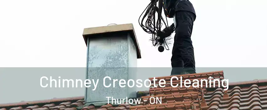  Chimney Creosote Cleaning Thurlow - ON