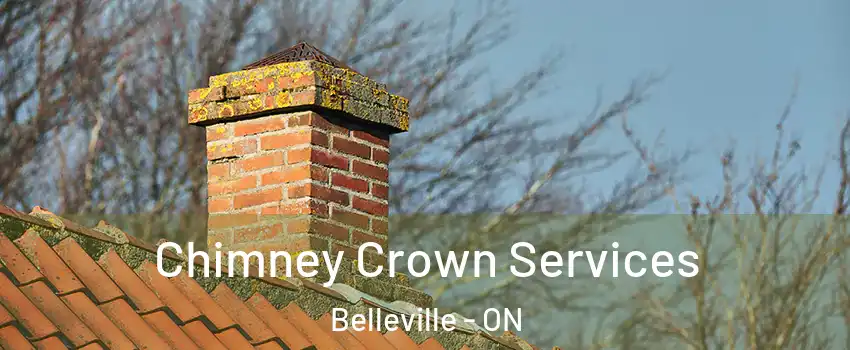 Chimney Crown Services Belleville - ON