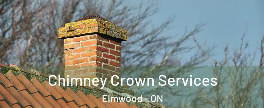  Chimney Crown Services Elmwood - ON