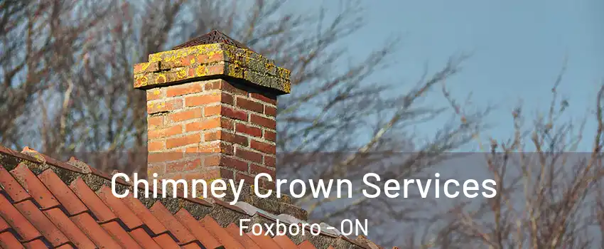  Chimney Crown Services Foxboro - ON